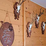 Beautiful In A Stunning Location With Sauna * Fuegen